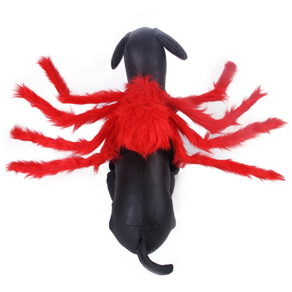 Spider cat costume