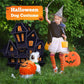 Funny Pumpkin Dog Halloween Costume Pet Dog Cat Thick Plush Pumpkin Decoration Shirt Clothes For Small Medium Dogs Cats Puppy Cute Halloween Party Cosplay Dress Up Outfits