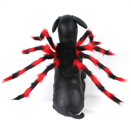 Spider cat costume