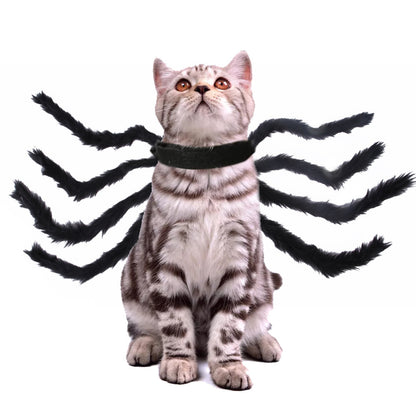 Spider cat costume