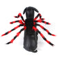 Spider cat costume